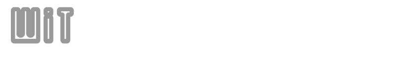 Wit